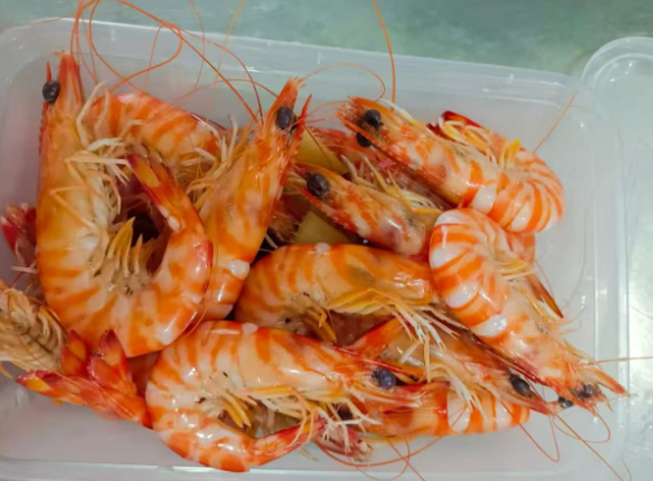 北海海钓：北海出海海钓捕鱼下网的鱼获一般有哪些