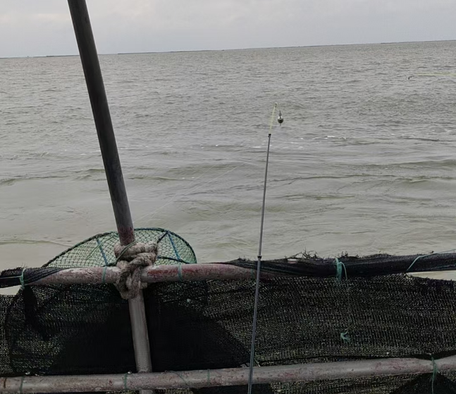 北海渔船出海海钓，怕晕船的朋友可以选渔船
