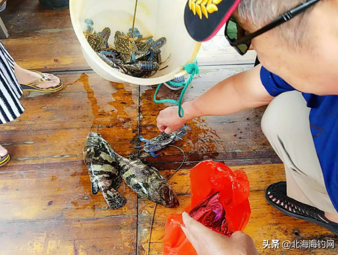国庆期间来北海游玩，租船钓鱼捕鱼也是一种不错的选择