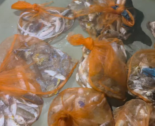 台风天出不了海,在北海可以玩点什么呢?