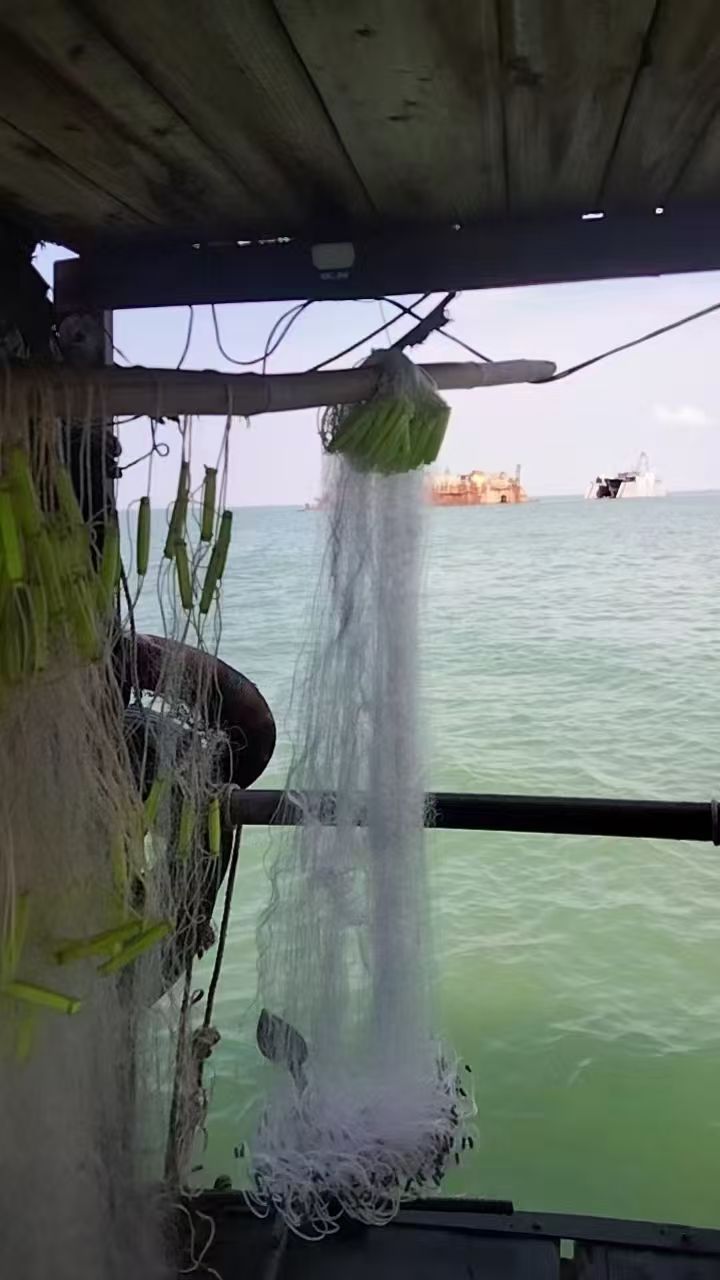 北海出海捕鱼下网玩法介绍