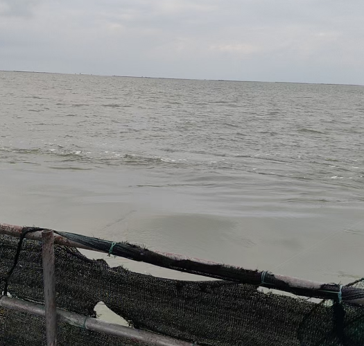 北海出海快艇海钓，近海4小时，外海8小时
