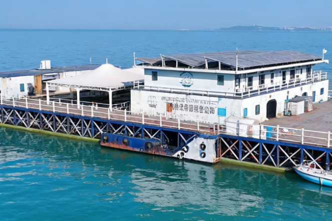 北海沙皇船家海钓特色赶海