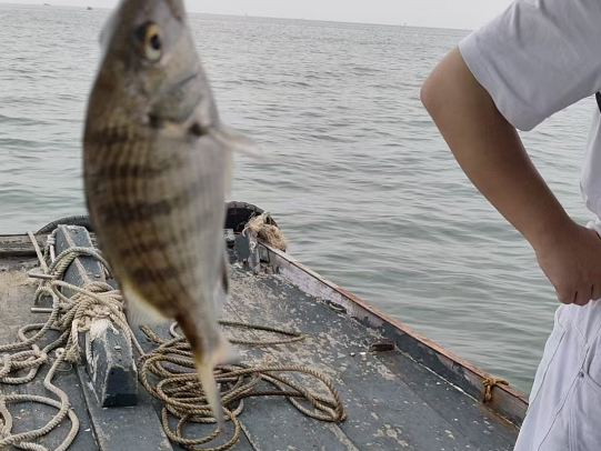 北海船钓，近海海钓，10个人以内一个船
