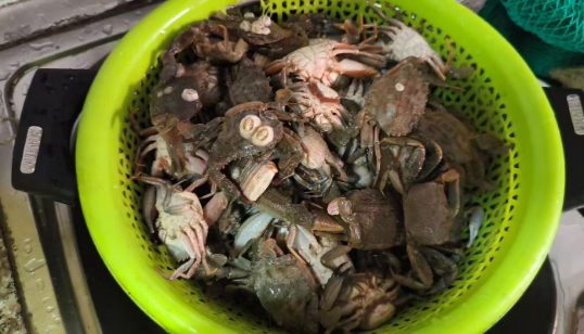 下雨天北海赶海可不可以，海鲜会多吗？