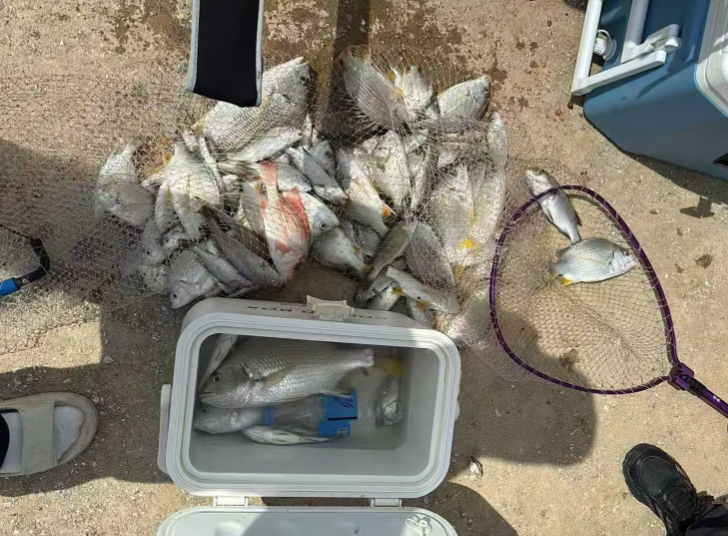 北海木船渔船出海海钓捕鱼