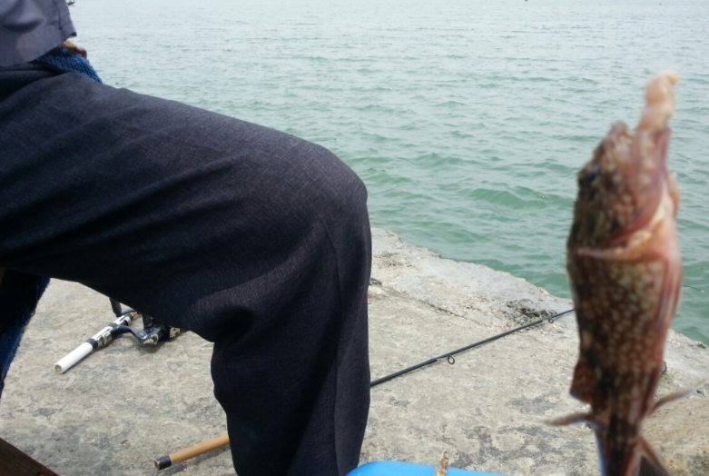 北海海钓租船攻略：筏竿和搓波仔钓法