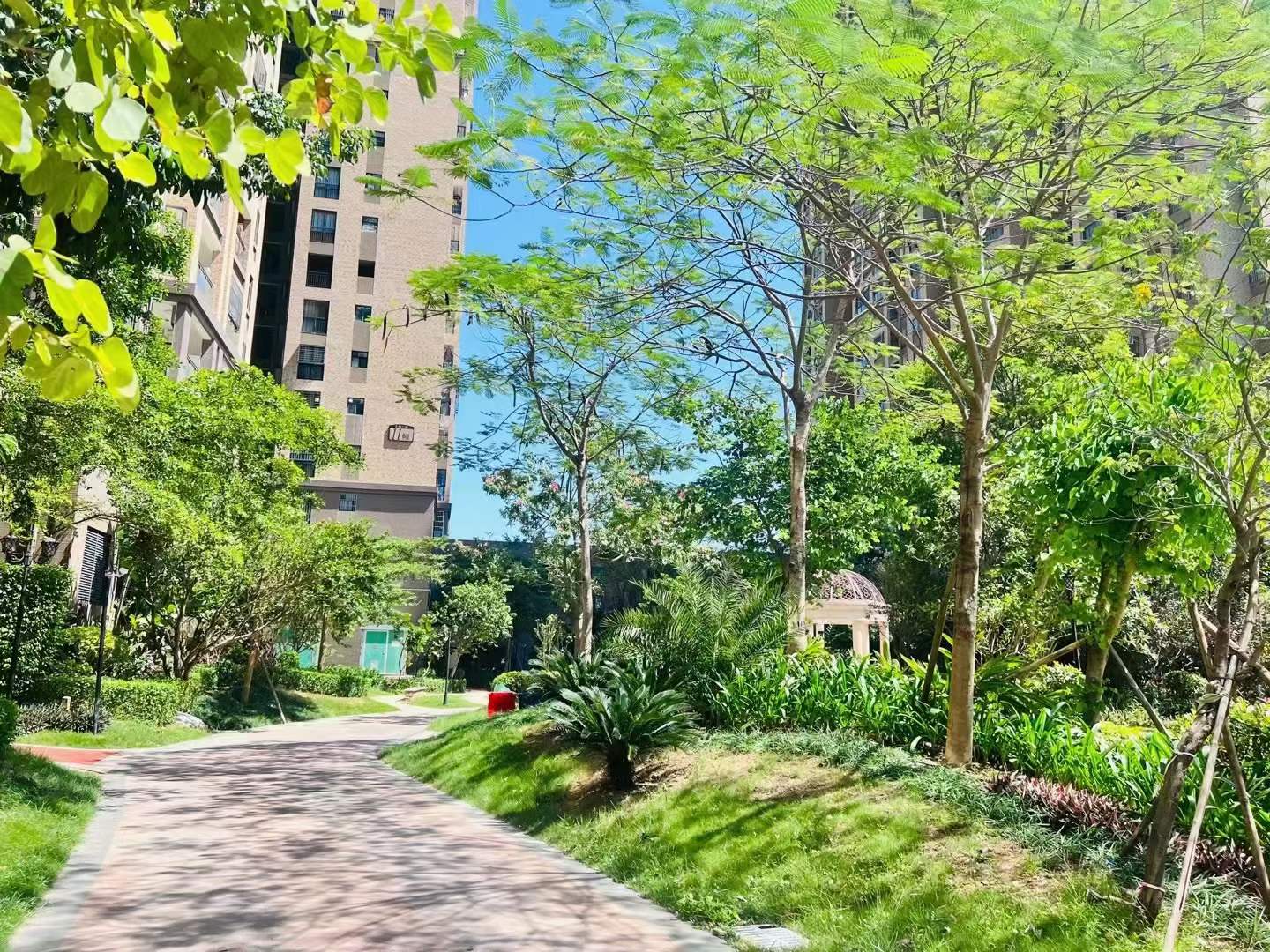 碧园海公馆大三房两厅两卫，89.8平米，58.8万出售