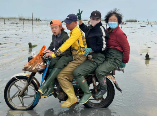 北海深度赶海，围网怎么玩？怎么收费？